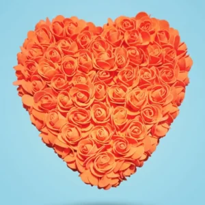 CUORE DI ROSE